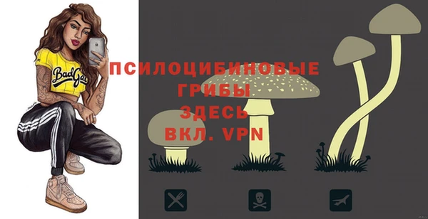 трава Беломорск