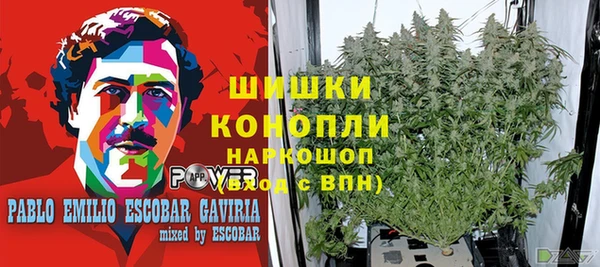 трава Беломорск