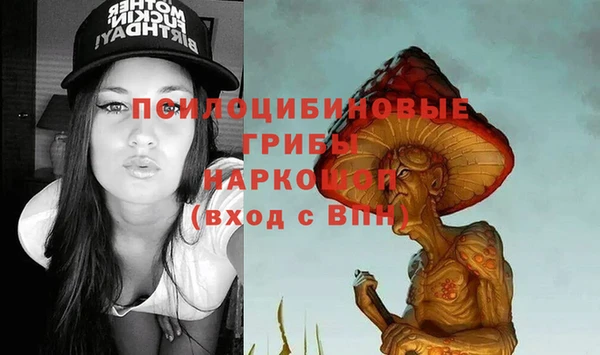 ешки Белокуриха