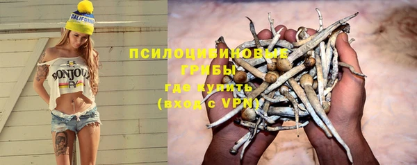 ешки Белокуриха
