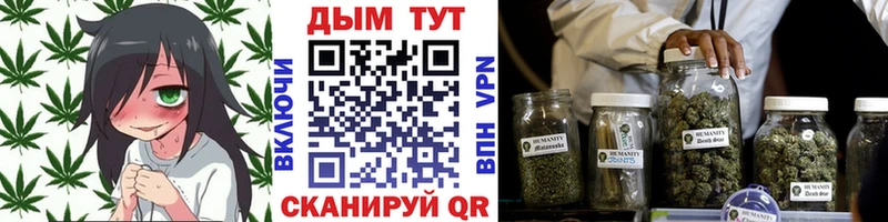 сколько стоит Бор гидра ONION Канабис планчик